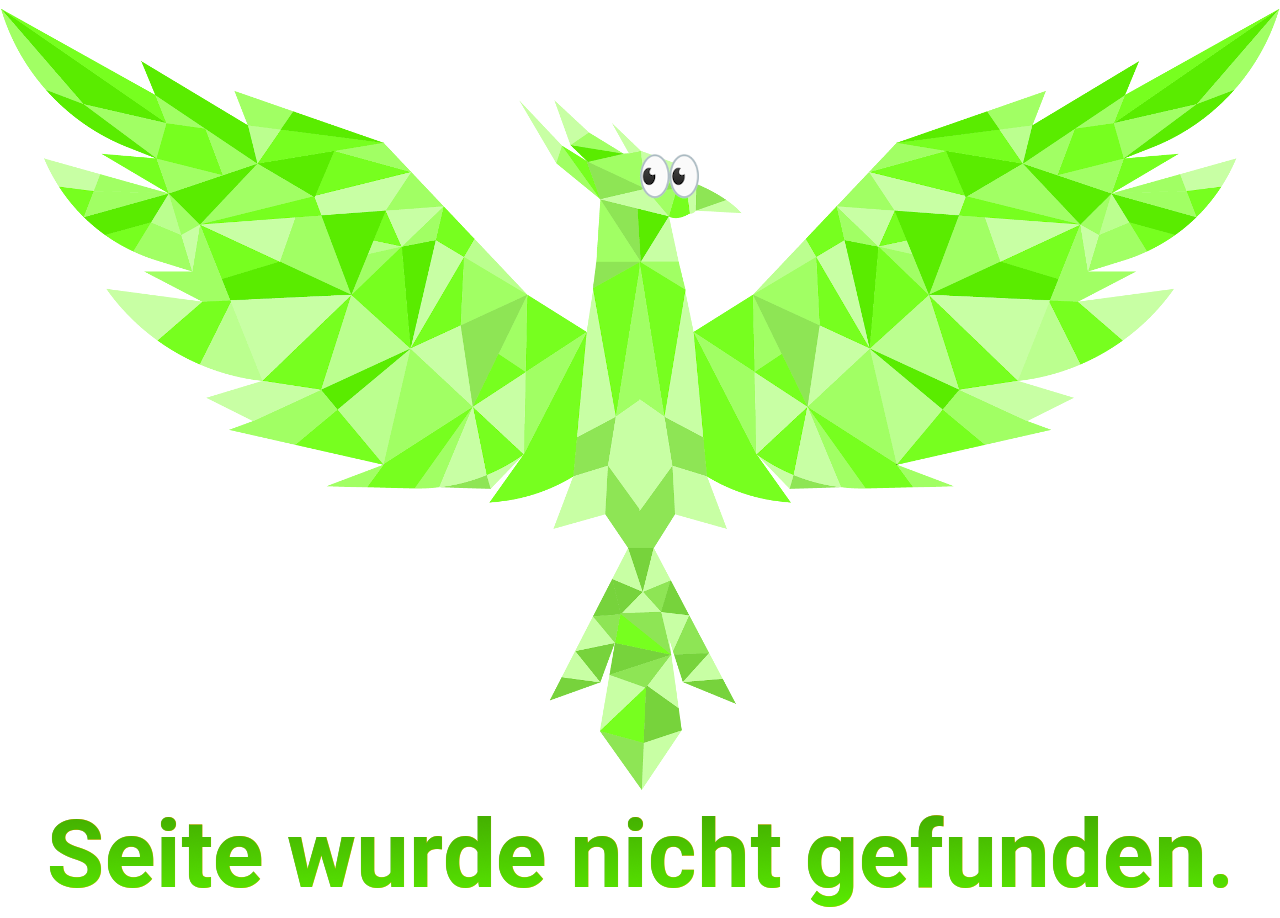 404 Bild
